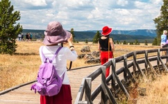 前面一根后面一根运动